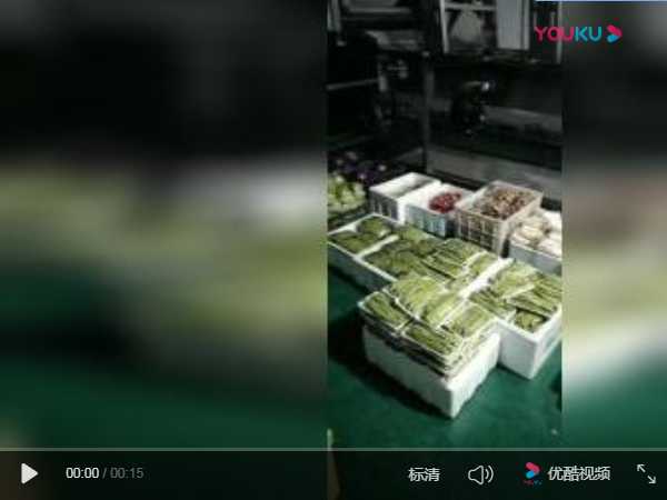 佳興機(jī)械工程案例的視頻